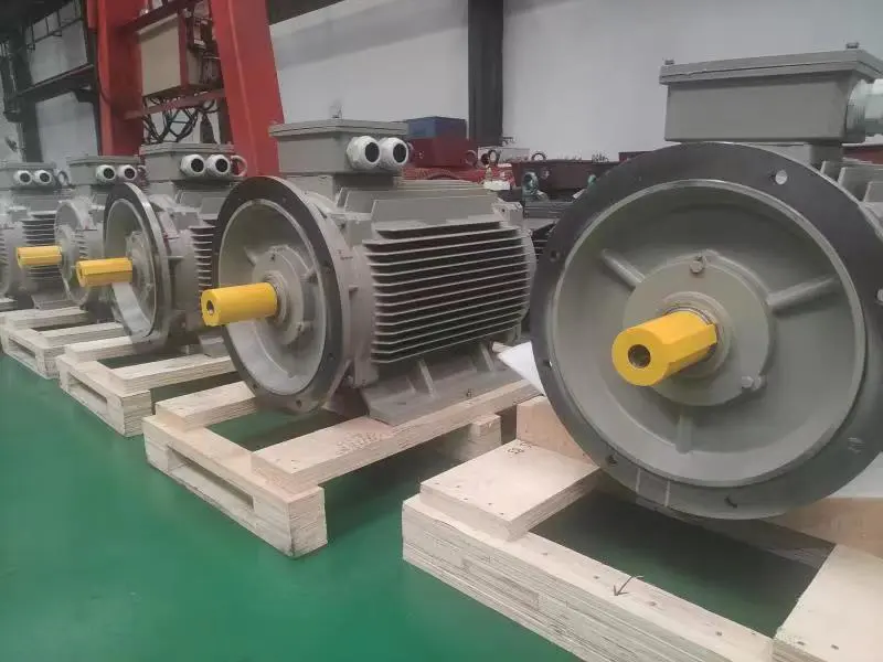 TYP permanent magnet motor